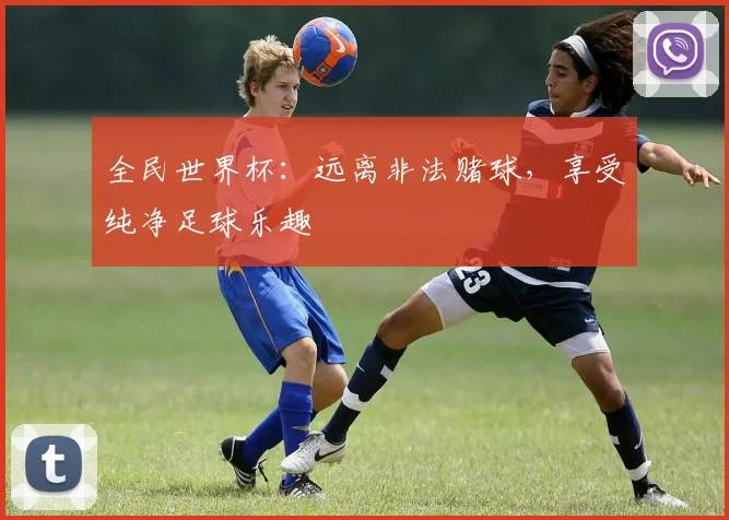 全民世界杯：远离非法赌球，享受纯净足球乐趣