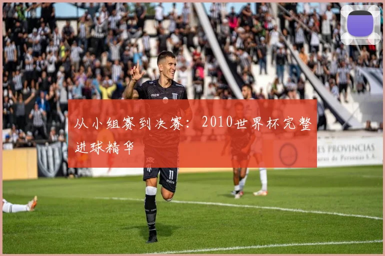 从小组赛到决赛：2010世界杯完整进球精华